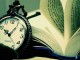 Reading