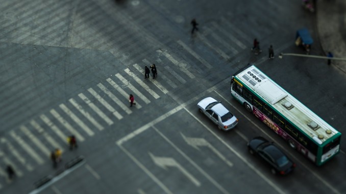 Zebra Crossing Zebra Crossing