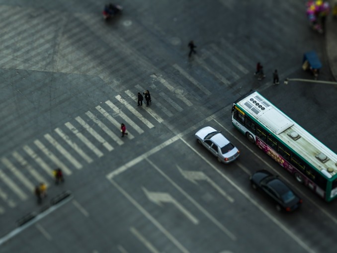 Zebra Crossing