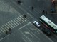 Zebra Crossing