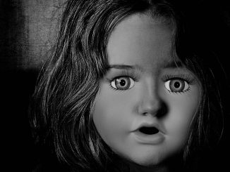 Face Doll