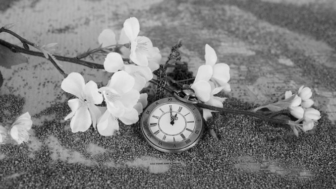 Pocket Watch Pocket Watch
