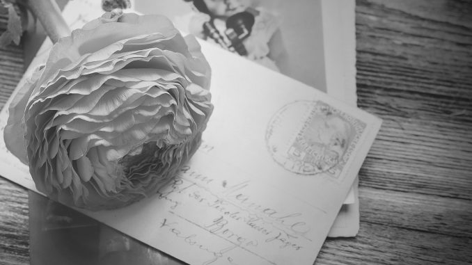 Ranunculus Flower