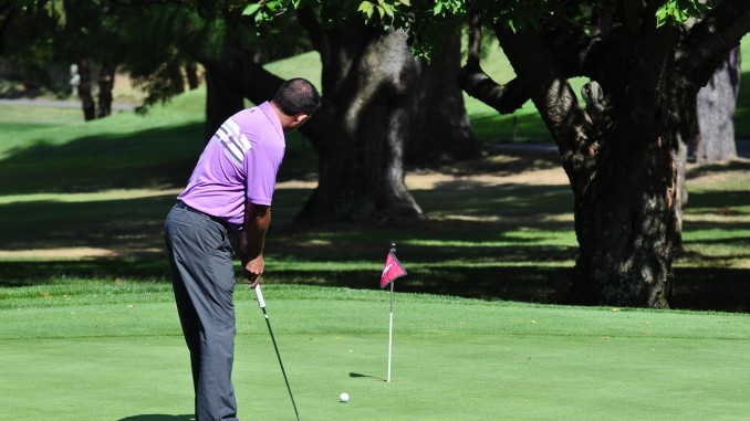 Golf Hit Golf Hit