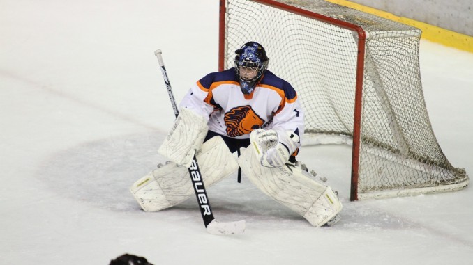 Ice Hockey Ice Hockey