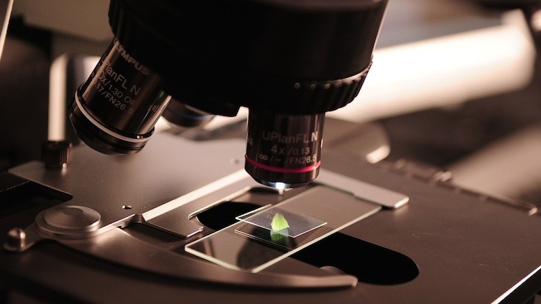 Microscope