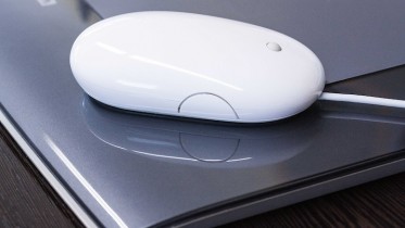 Mouse