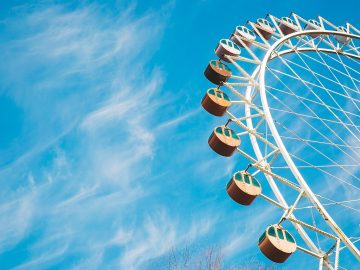 Ferris Fun