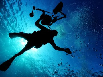 Sea Diving